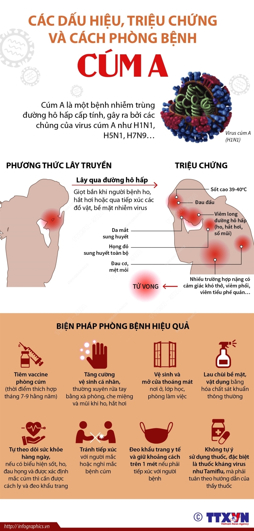 2022-7-19-phong-tranh-cum-a_ruby-FILEminimizer
